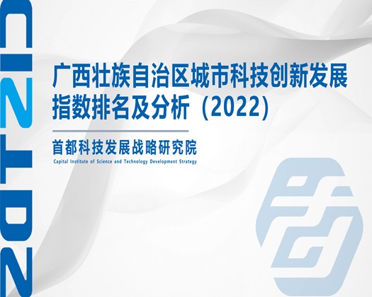 大屌尻屄视频【成果发布】广西壮族自治区城市科技创新发展指数排名及分析（2022）